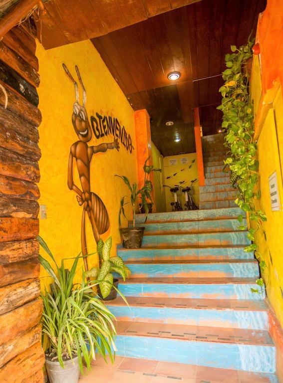 Hotel El Hormiguero Playa del Carmen Extérieur photo